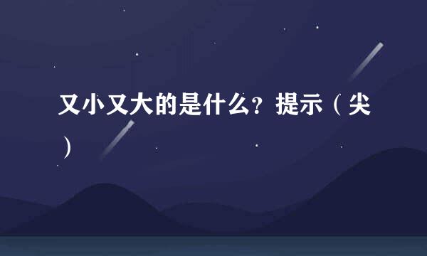 又小又大的是什么？提示（尖）