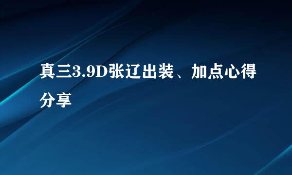 真三3.9D张辽出装、加点心得分享