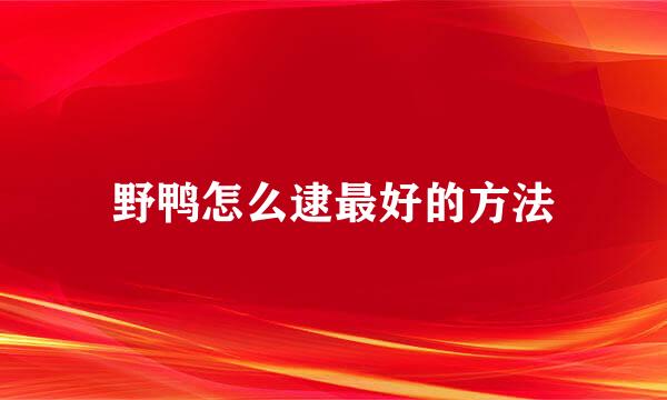 野鸭怎么逮最好的方法