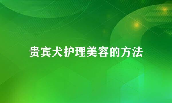 贵宾犬护理美容的方法