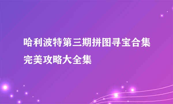 哈利波特第三期拼图寻宝合集完美攻略大全集