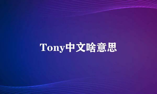 Tony中文啥意思