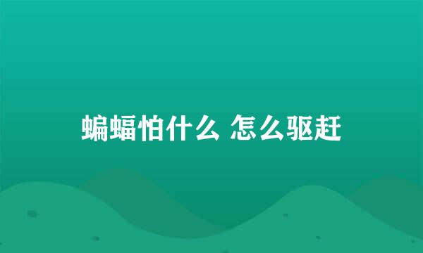 蝙蝠怕什么 怎么驱赶