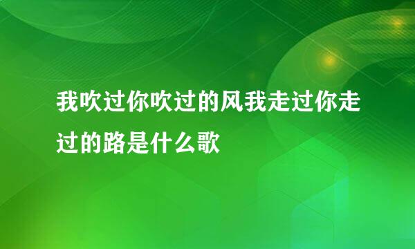 我吹过你吹过的风我走过你走过的路是什么歌