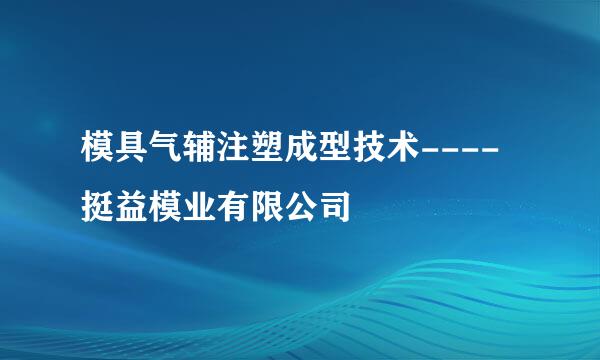 模具气辅注塑成型技术----挺益模业有限公司