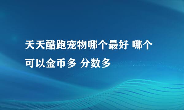 天天酷跑宠物哪个最好 哪个可以金币多 分数多