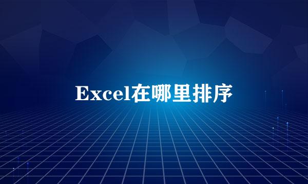 Excel在哪里排序