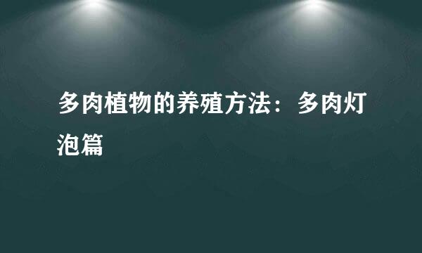 多肉植物的养殖方法：多肉灯泡篇