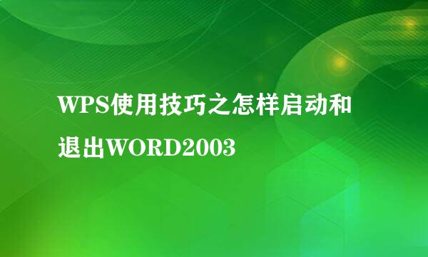 WPS使用技巧之怎样启动和退出WORD2003