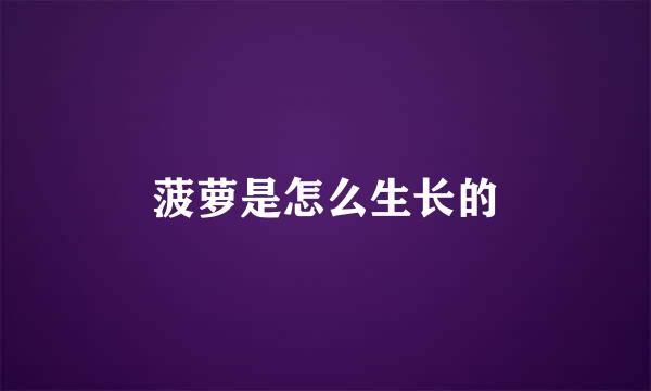 菠萝是怎么生长的