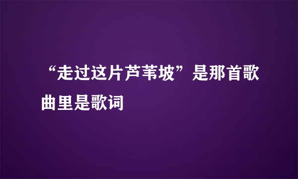 “走过这片芦苇坡”是那首歌曲里是歌词