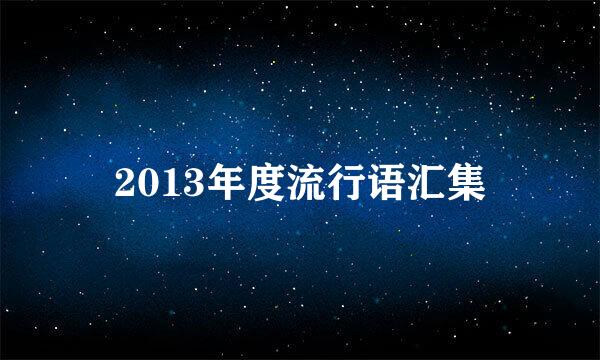 2013年度流行语汇集