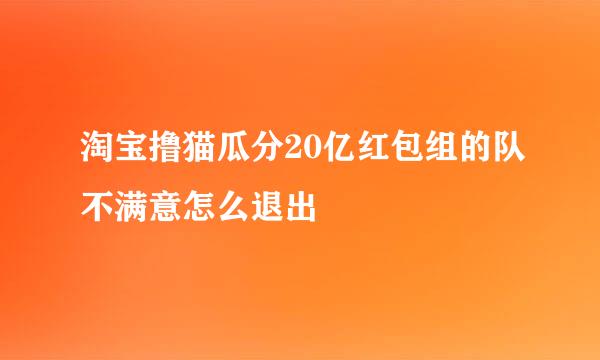 淘宝撸猫瓜分20亿红包组的队不满意怎么退出