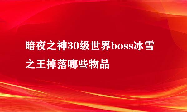 暗夜之神30级世界boss冰雪之王掉落哪些物品