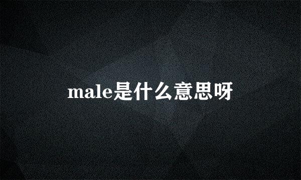 male是什么意思呀