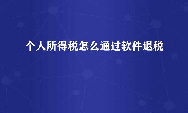 个人所得税怎么通过软件退税