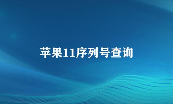 苹果11序列号查询