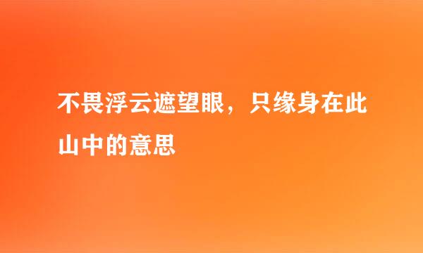 不畏浮云遮望眼，只缘身在此山中的意思