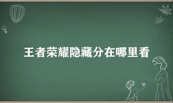 王者荣耀隐藏分在哪里看