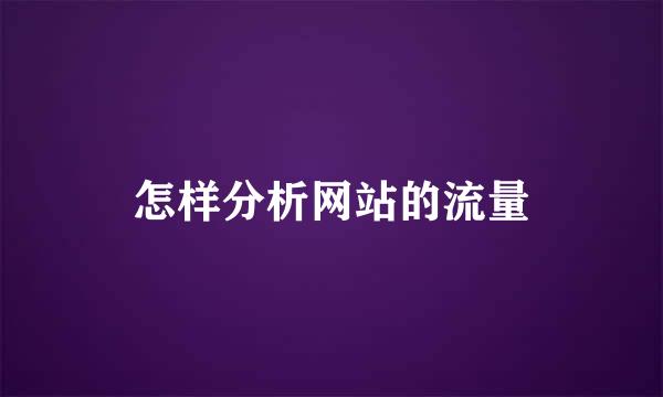 怎样分析网站的流量